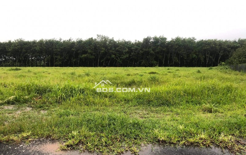 Chính chủ cần bán lô đất vị trí đẹp, giá tốt